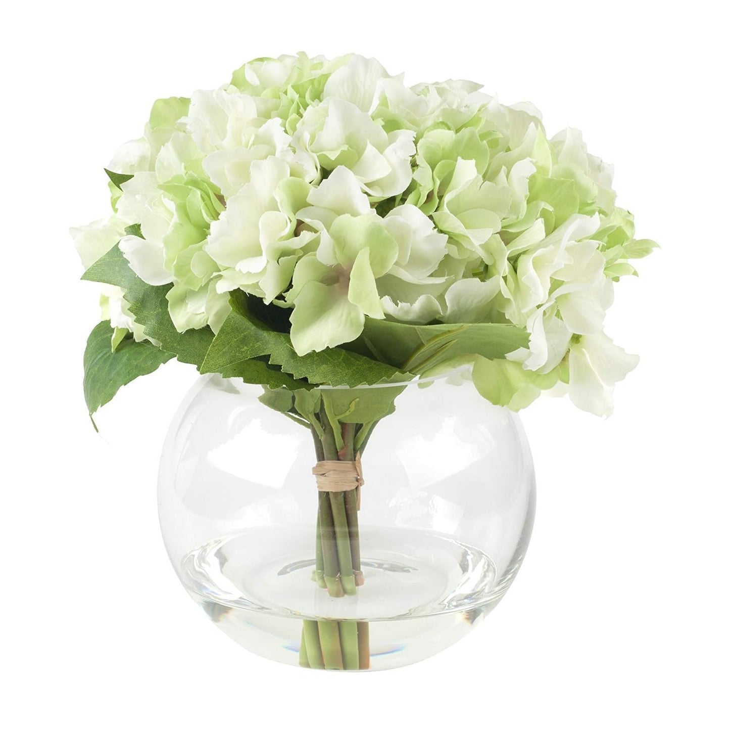 Glass Flower Vase - Clear Decorative Round Glass Flower Vase for Home Décor