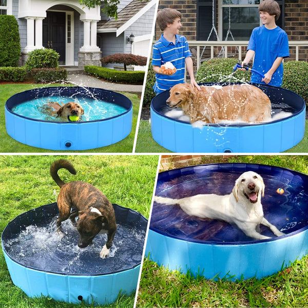 Pet Swimming Bathtub Pool - Collapsible Hard Plastic Pet Swimming Bathtub Pool (Medium)