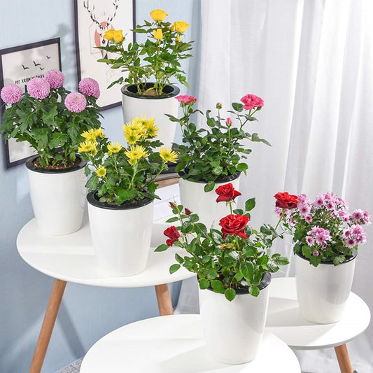 Self-Watering Planter Pots - Modern Decorative Set of 6 Self Watering Planter Pots