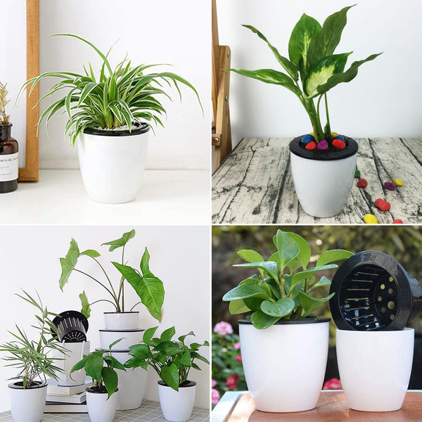 Self-Watering Planter Pots - Modern Decorative Set of 6 Self Watering Planter Pots